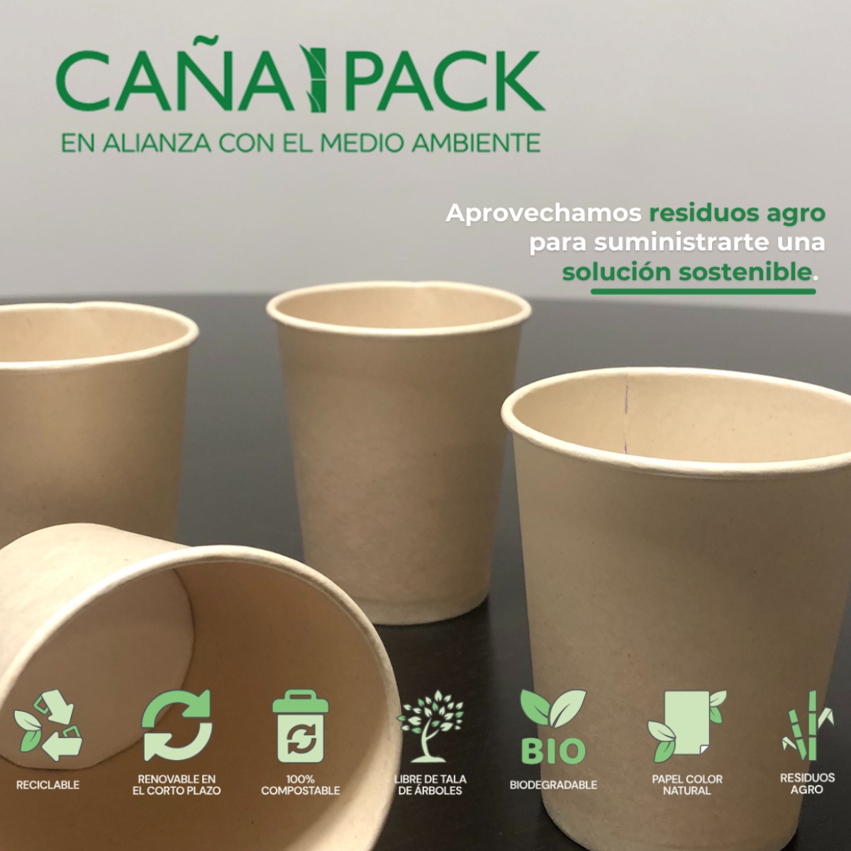 🌿📣 Cañapack, empresa asociada de ASPACK, acelera su expansión internacional y refuerza su portfolio de papeles sostenibles ♻️

✨ Han desarrollado el Recyclable Cupstock, vasos de papel totalmente reciclables.

Más info aquí ⬇️
 ow.ly/h66X50XAuYe

#ASPACK #Cañapack