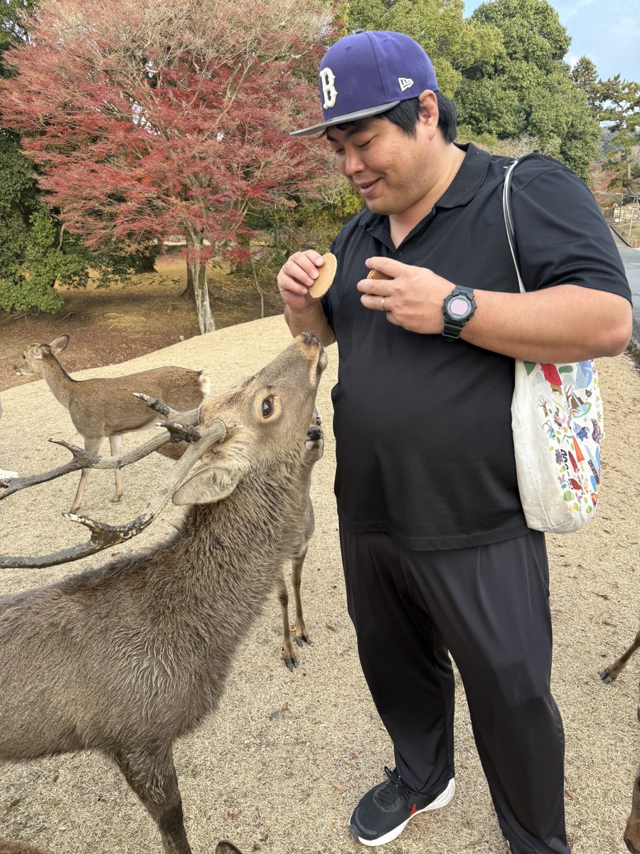 【ご報告】
奈良公園パトロールを継続して1年5ヶ月が経過しました。
最近は中国人観光客が少なくなりましたが油断してはなりません。
自撮り棒で鹿さんを追い回し頭を叩いた中国人がいたので厳重警戒しています。
議員になっても変わらず鹿さんをお守りして参ります。
