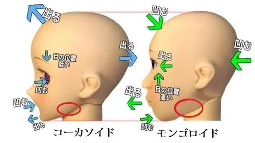 kechiko_onna's tweet photo. 模写？ってレベルで左にそっくりでかわいい。 https://t.co/FK2HGowklM