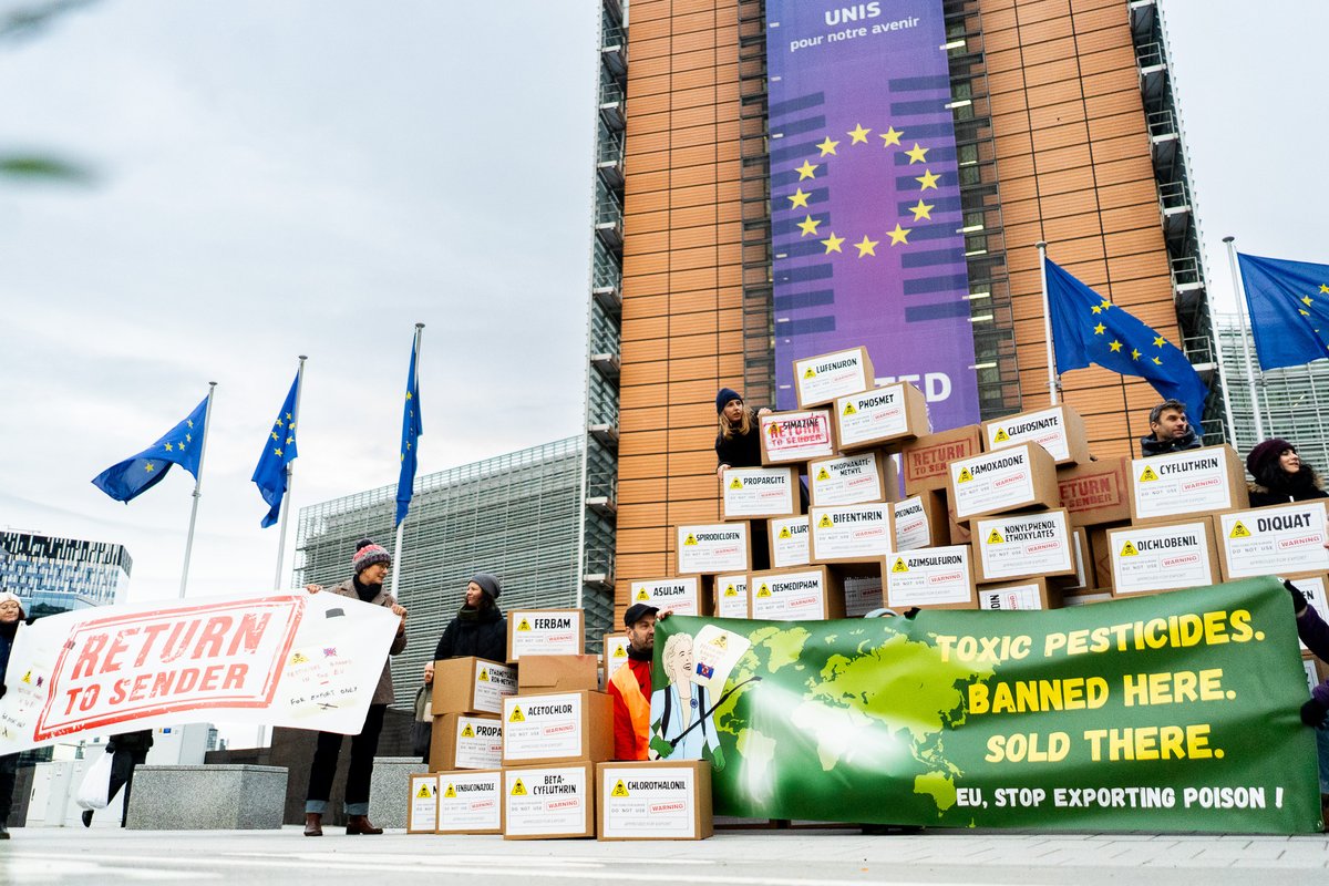 📦 Today, 75 boxes of EU-banned #pesticides were returned to the <a href="/EU_Commission/">European Commission</a> in Brussels. 

🗺️ From Brazil to India, Indonesia to South Africa, citizens sent a clear message: toxic exports must stop.

#ReturnToSender

pan-europe.info/press-releases…