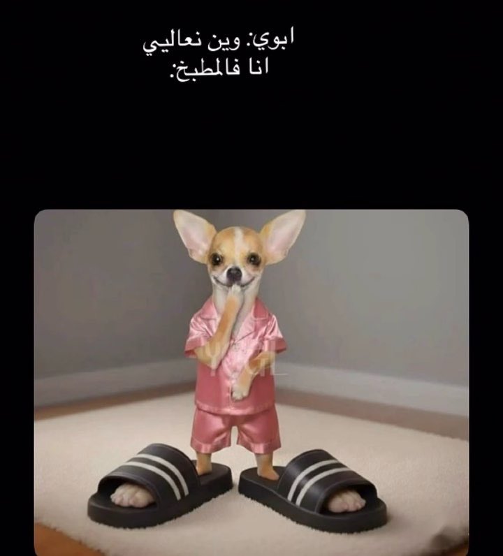 5QQYY's tweet photo. https://t.co/iGIHk0ddat