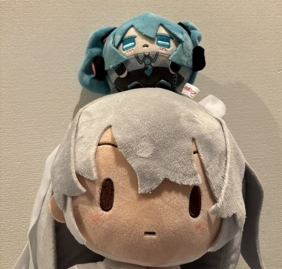 もろみ゛ (@mimimimimoromi) on Twitter photo 