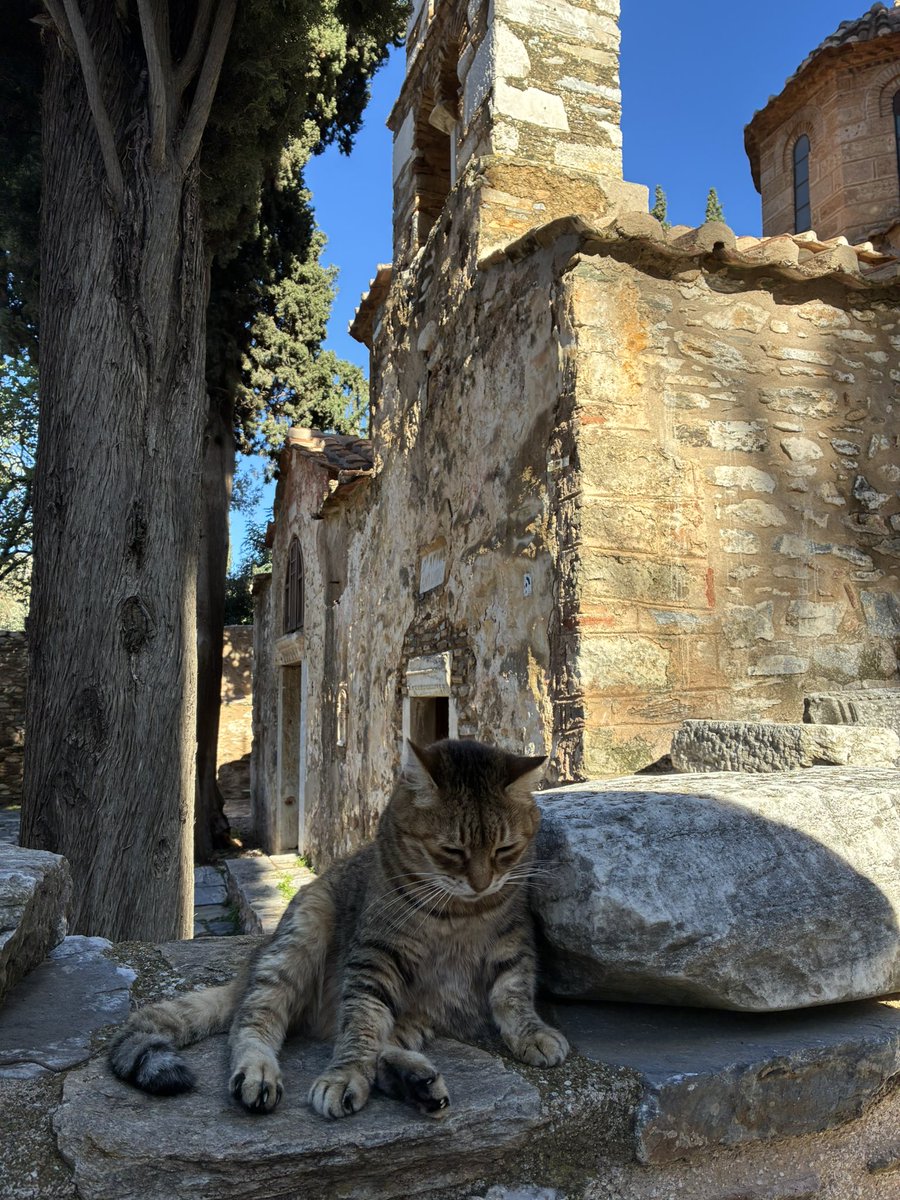 βάλλ' εἰς κόρακας 𓆝 tweet media