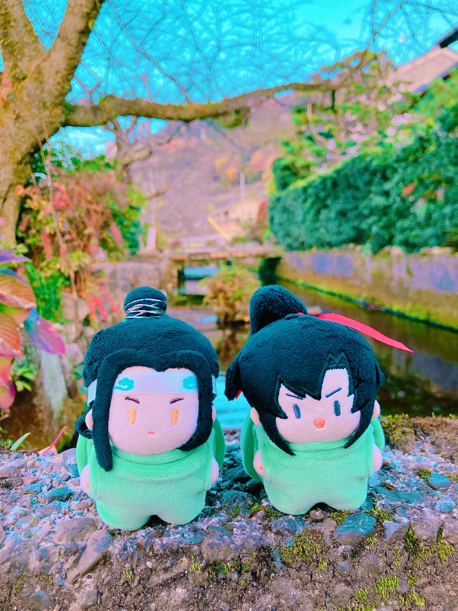 ほたる (@hotaru_1103) / Posts / X