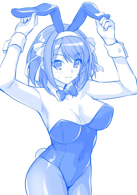 バニーハルヒさん 