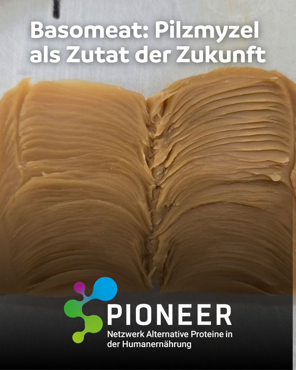 DLG e.V. tweet media