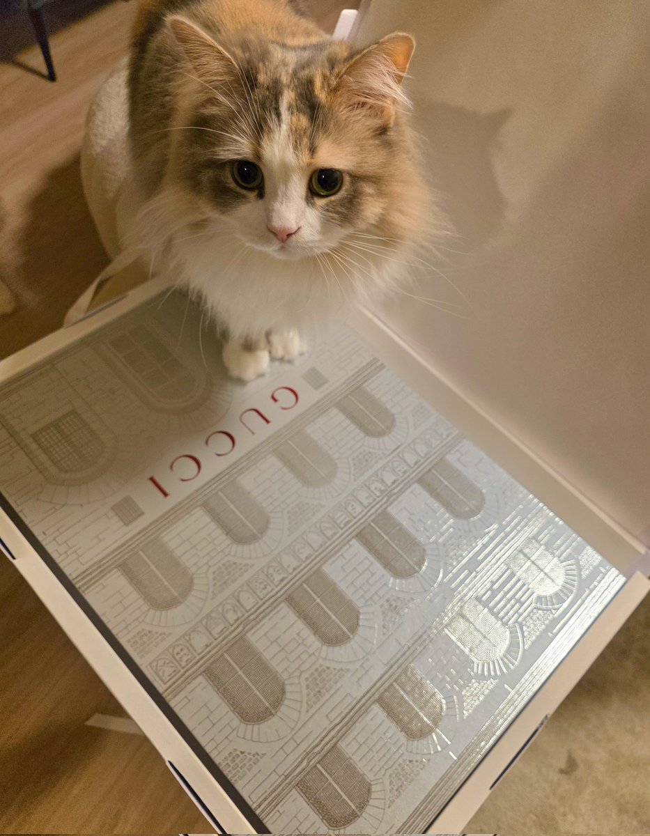 GUCCIちゃんから届いたクソデカアドベントカレンダー（横転）