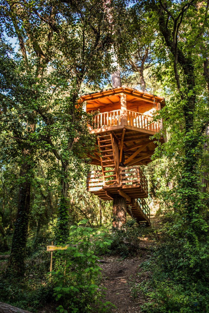 🎁Aquest Nadal, regalar experiències de proximitat és una manera d’impulsar el sector i el territori.
🤝Descobreix les propostes de diverses empreses del Cercle de Turisme que sumen valor i reforcen l’activitat local:
🔗barcelonaesmoltmes.cat/ca/-/7-idees-p…