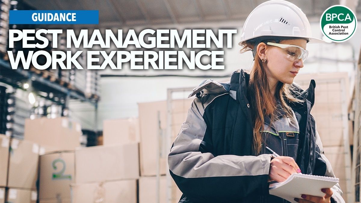 👐 Offering work experience placements is one of the best ways to introduce young people to pest management. 

Our guidance is designed to help you understand what you need to do and how to plan a placement. 🎯 

Read: buff.ly/xO1lfuS 

#PestControl #Careers #Jobs