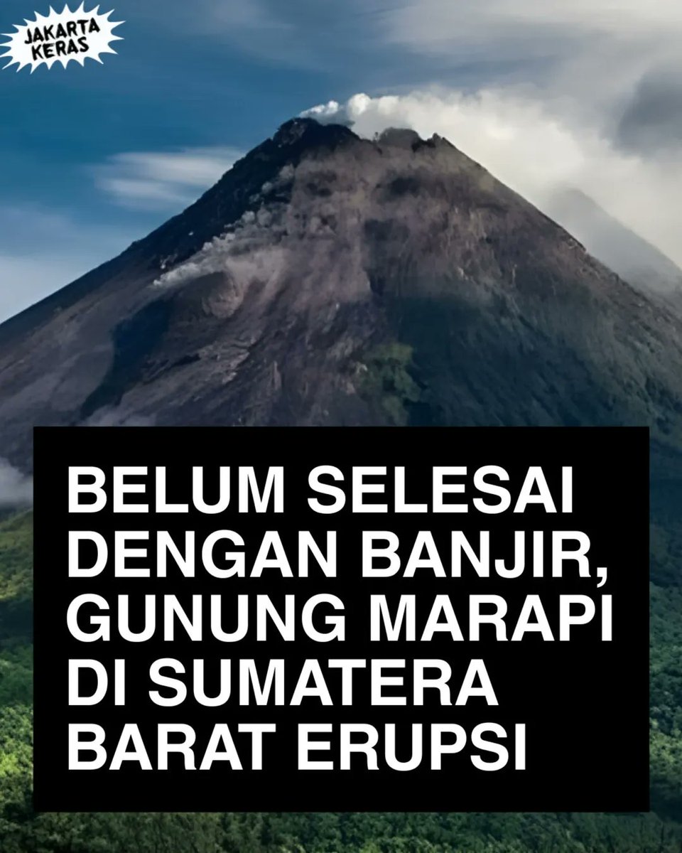 Like This tweet media