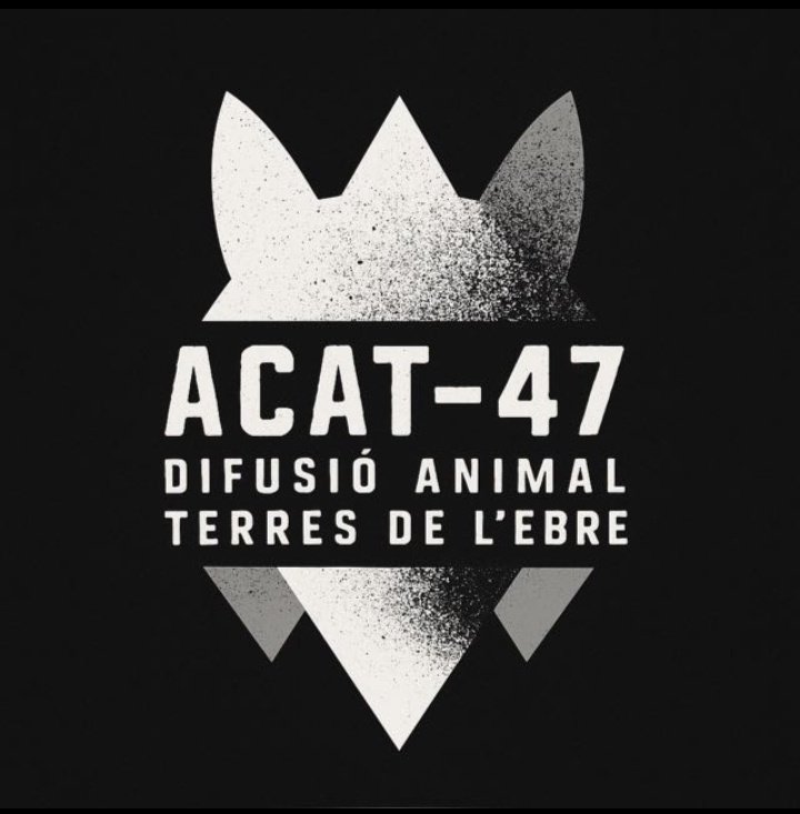 ⭐ Montsinova ⭐ ||☆|| ❤️🐈‍⬛🐈🐈‍⬛🐈🐈‍⬛❤️ tweet media