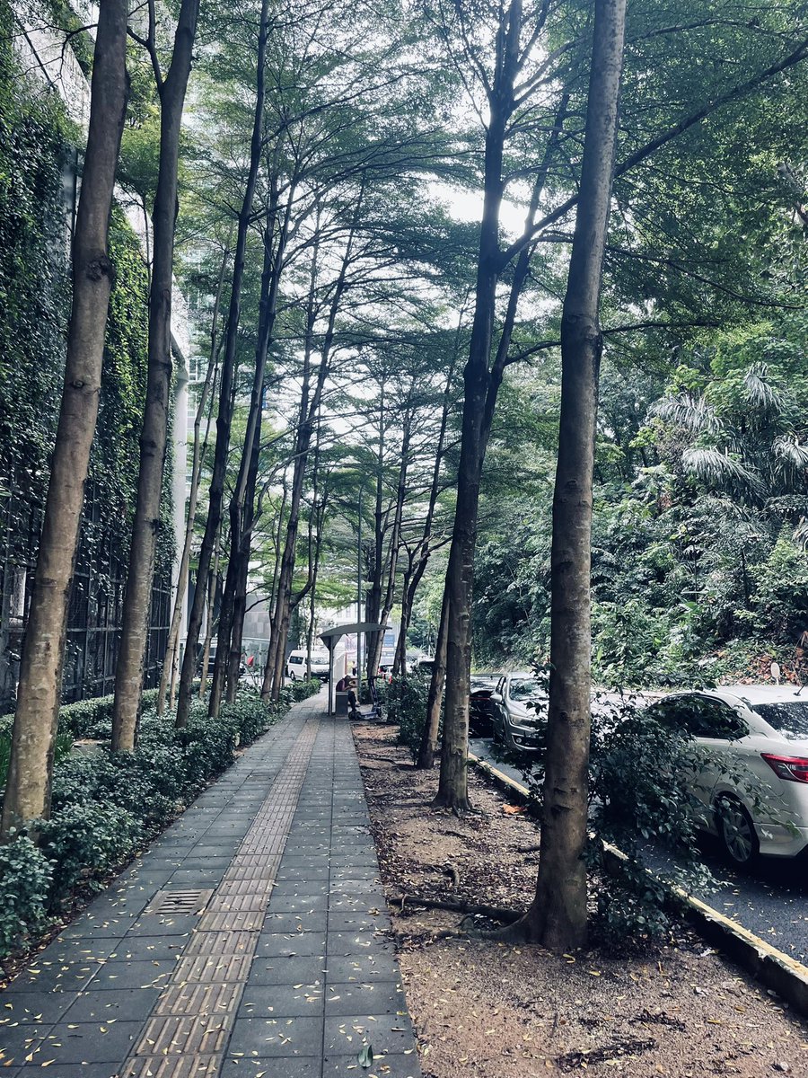 Leaving Kuala Lumpur after spending 40 days here, so it’s time for a quick review:

When I first landed, I thought KL would just be a place I’d pass through, but I didn’t expect to have some of the best days of my life here.

– The weather is nice, just a bit humid.

– The food