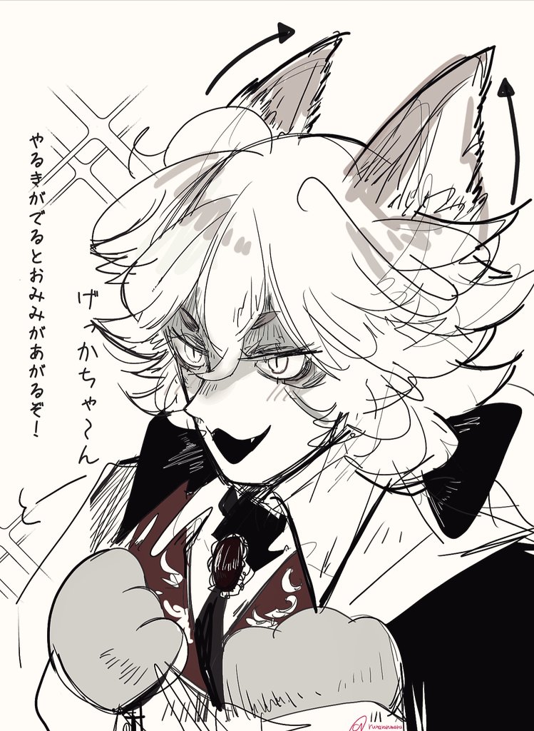 ｹﾞｯｶちゃんのﾓﾌﾓﾌちゃんについて