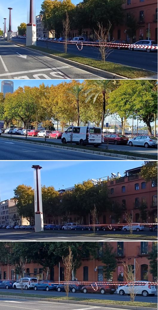 <a href="/SOSterritorios/">Red Territorios Sostenibles #RedEcoTerritorios</a> <a href="/Ayto_Sevilla/">Ayuntamiento de Sevilla</a> Ahora están colocando planchas de #CéspedNatural o #Tepes muy por encima del cuello de todo lo plantado, que terminará pudriéndose.
Lo que han hecho es solo un patético y cutre #Resalto #Verde para la canalización de los nuevos cables de #Farolas y #Semáforos.
Se están forrando💶