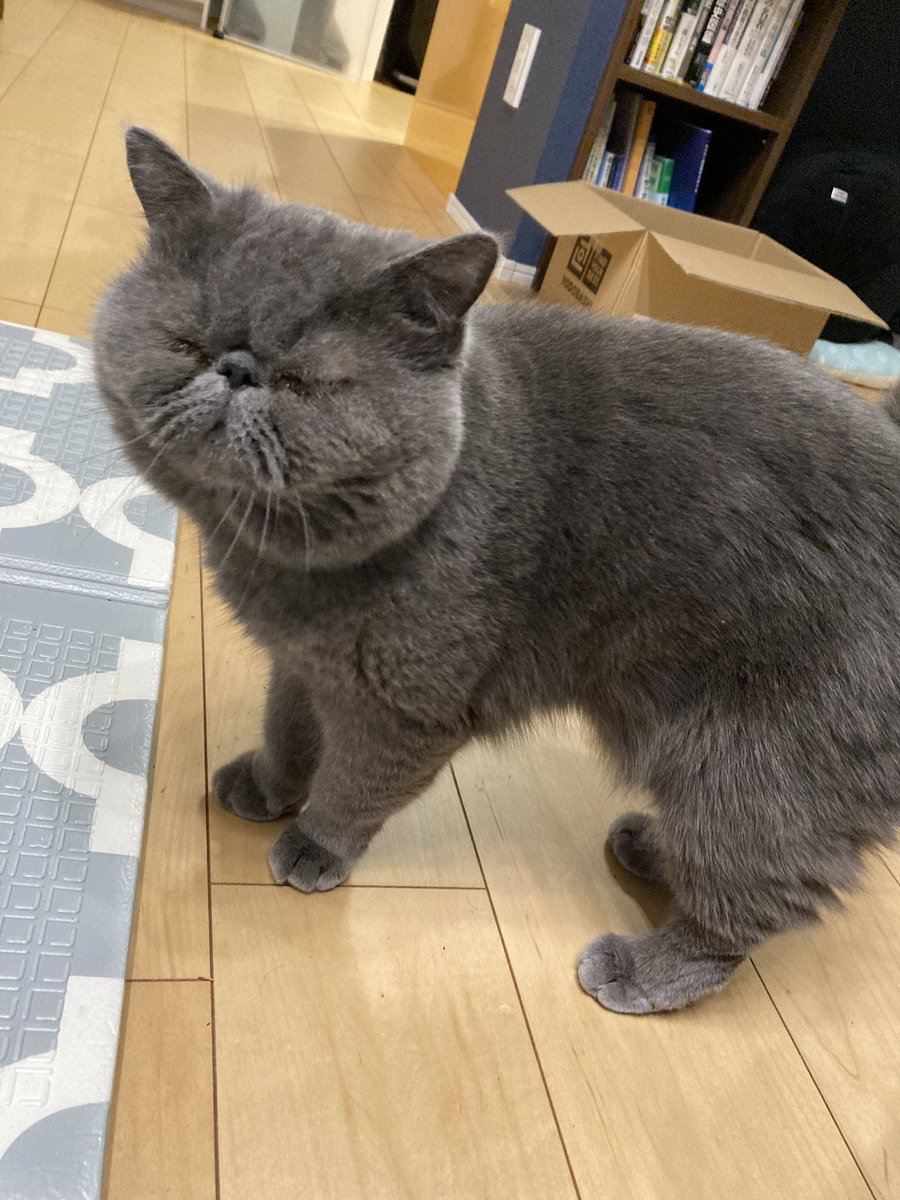 もずく酢 (@mozuku0518) / Posts / X