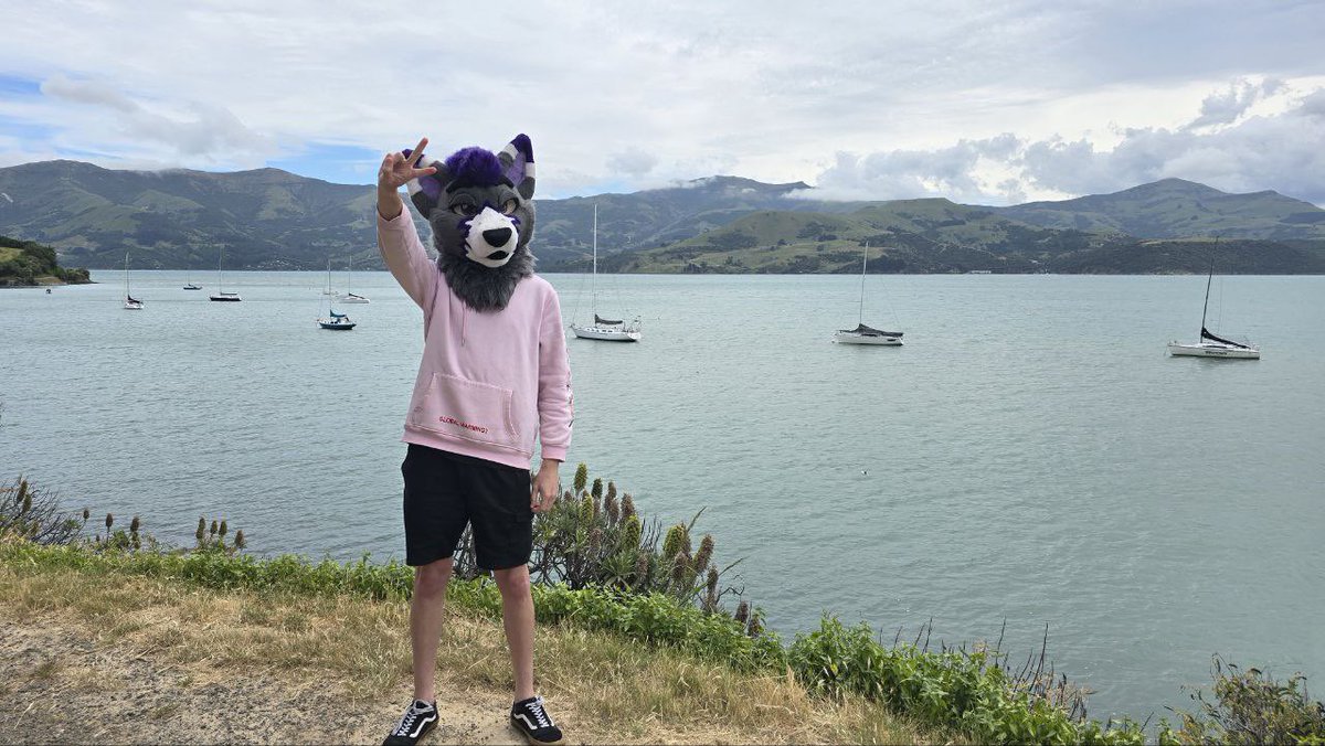 Drifter! tweet media