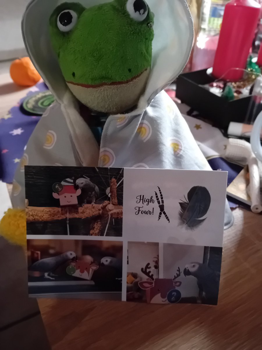 Ich hab meine erste Weihnachtskarte dieses Jahr und auch noch von meinen kleinen grauen Freunden von <a href="/PepiPapageien/">Graupapageien Ministerium für effektive Zerstörung</a> und dem Fraule. Vielen, vielen lieben Dank ❤️