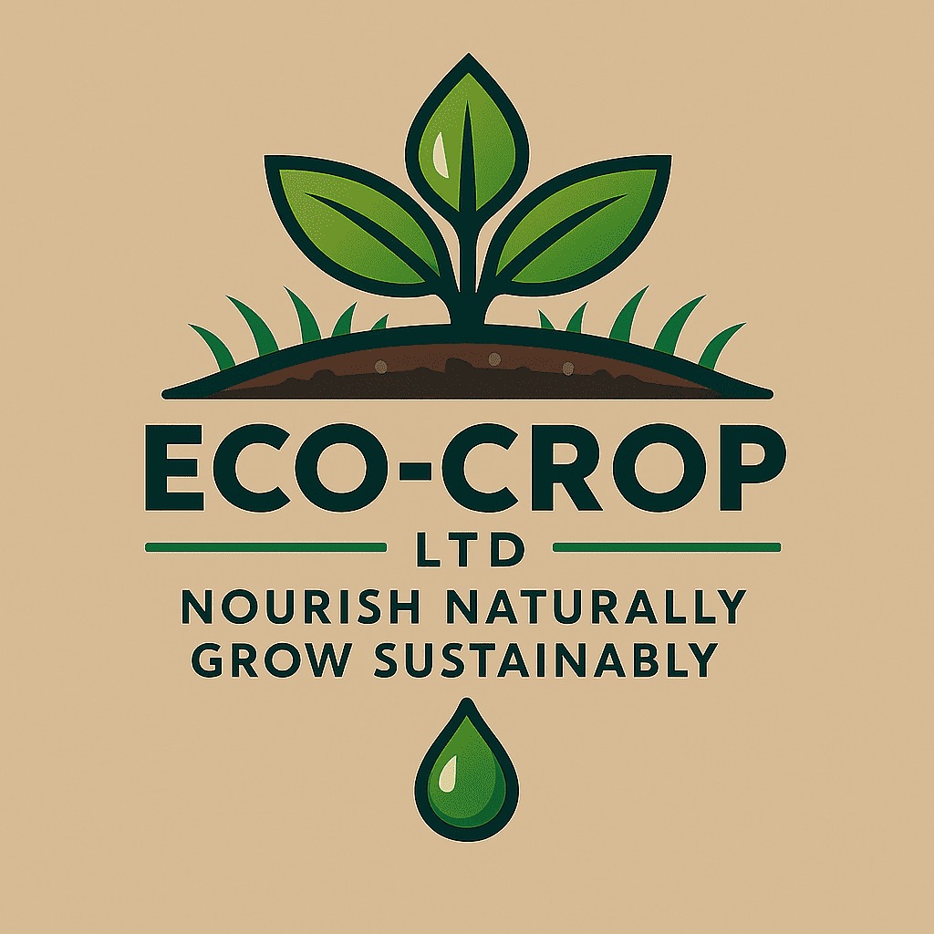 Eco_Crop's tweet image. Plant based liquid fertilizer everywhere 
@Tangirastartup @Bridge4Billions @HoReCo_Rw @diharagirimana @veterinaire_rw 
#COMGROW #ECOCROP