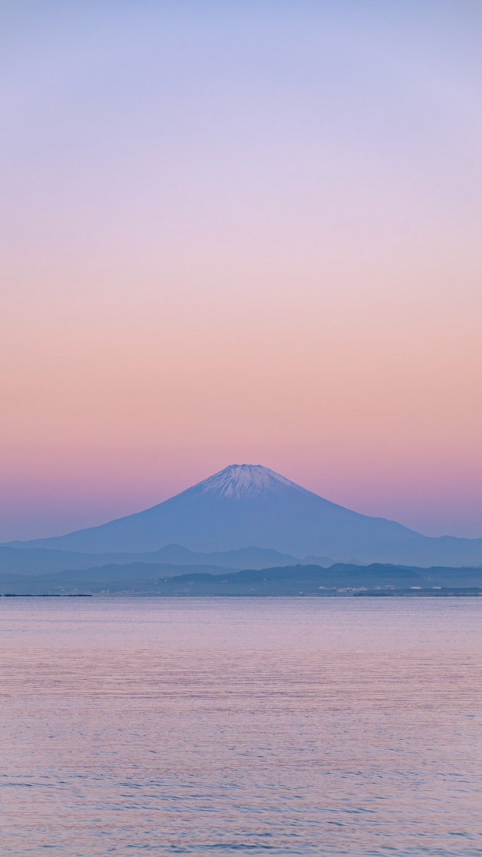るい tweet media