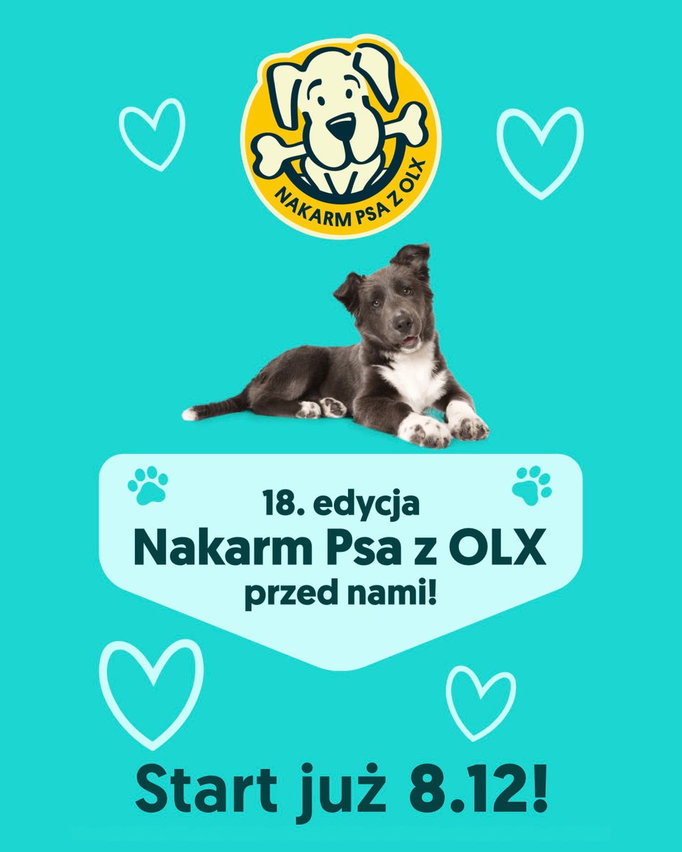 Już niedługo ruszy kolejna edycja akcji „NAKARM PSA Z OLX”, dzięki której możemy poprawić życia psów ze schronisk przy pomocy kilku kliknięć na swoim smartfonie.