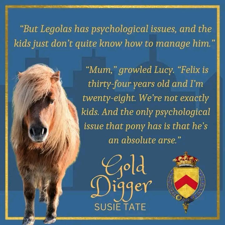 I had to give Legolas his own graphic 🐴 ❤️. At least a quarter of people asking to join my Facebook group say he’s their favourite character 🤣. Pony power! 🤩💕 #billionaireromance #contemporaryromancereads #romcombooks #susietateauthor