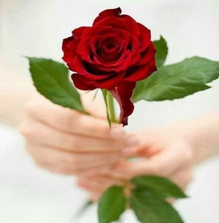 .....
Ey  Yar...!♥️
Yüreğimde bir çözülüp,
Bir düğümlenen.
Bir ilmek gibi işlenen.
Adına şiirler dizilen.
Ah işte sen!
Sensin sevdiğim,
Yüreğimde ♥️ beklenen.
En çok özlenen...
**Hasan Karataş
.....💃🌹❣️