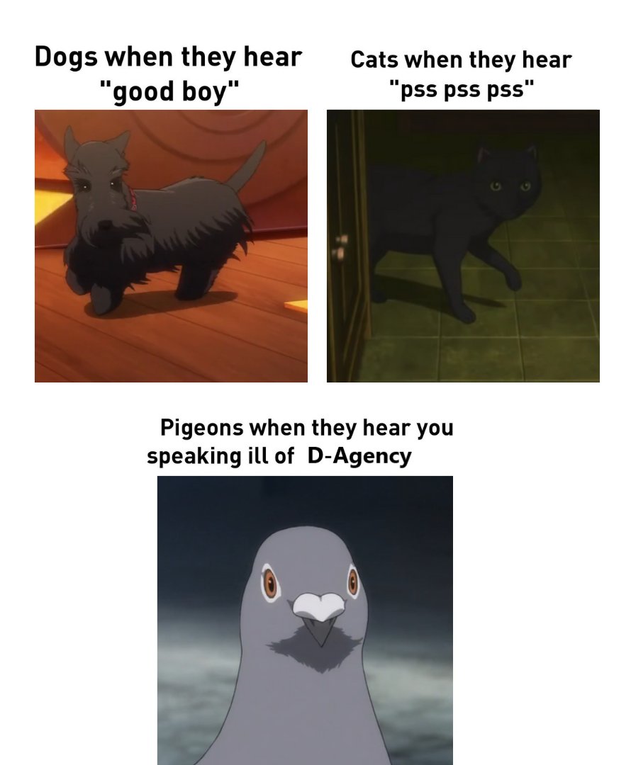 🐕🐈‍⬛🕊️