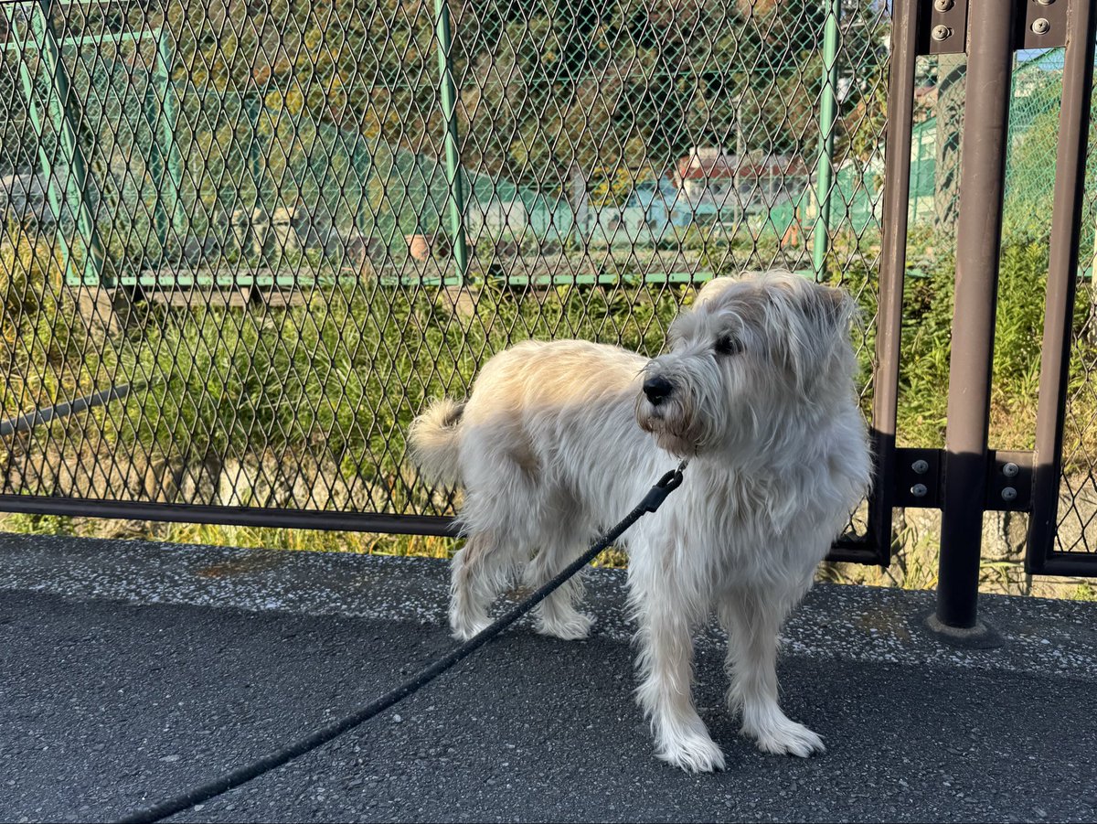 「一体ここは、いつの時代の日本なのか？　戦時翼賛体制へと後戻りしないために」

同業者が圧力を受け続ける状況を看過できず、書きました。
文化・エンタメが「経済制裁」の経験を最初期に伝える形になった事を叩いている場合ではない。平和への道を冷静に模索しましょう。
note.com/tavito/n/n4790…