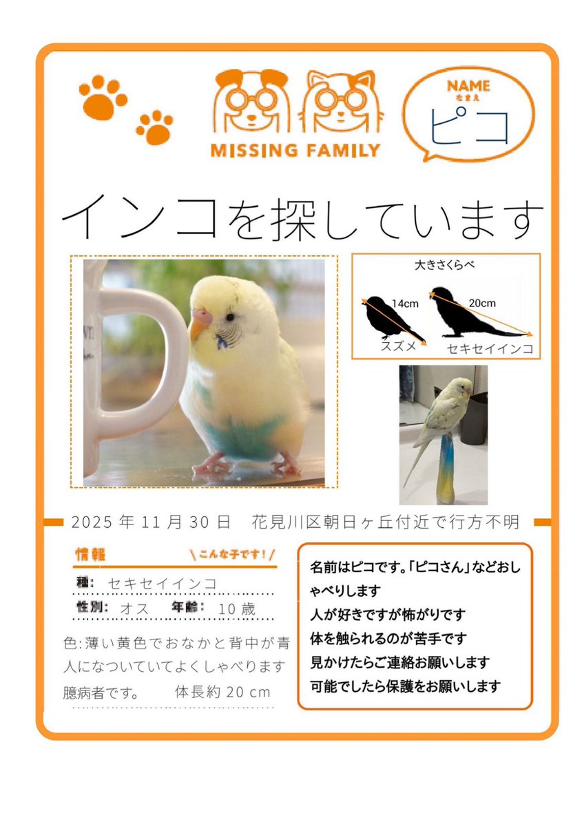 迷子 ページ 迷子