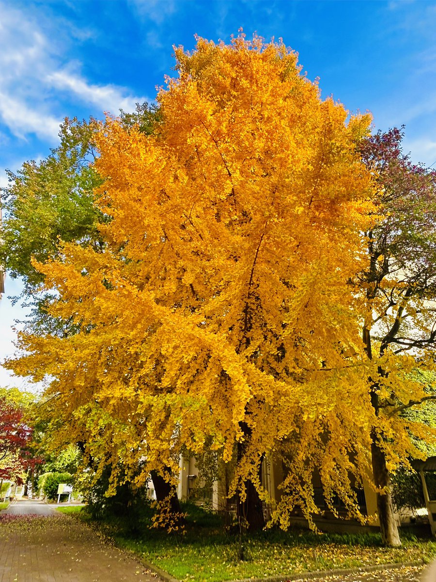 Kumamoto University Oe Campus