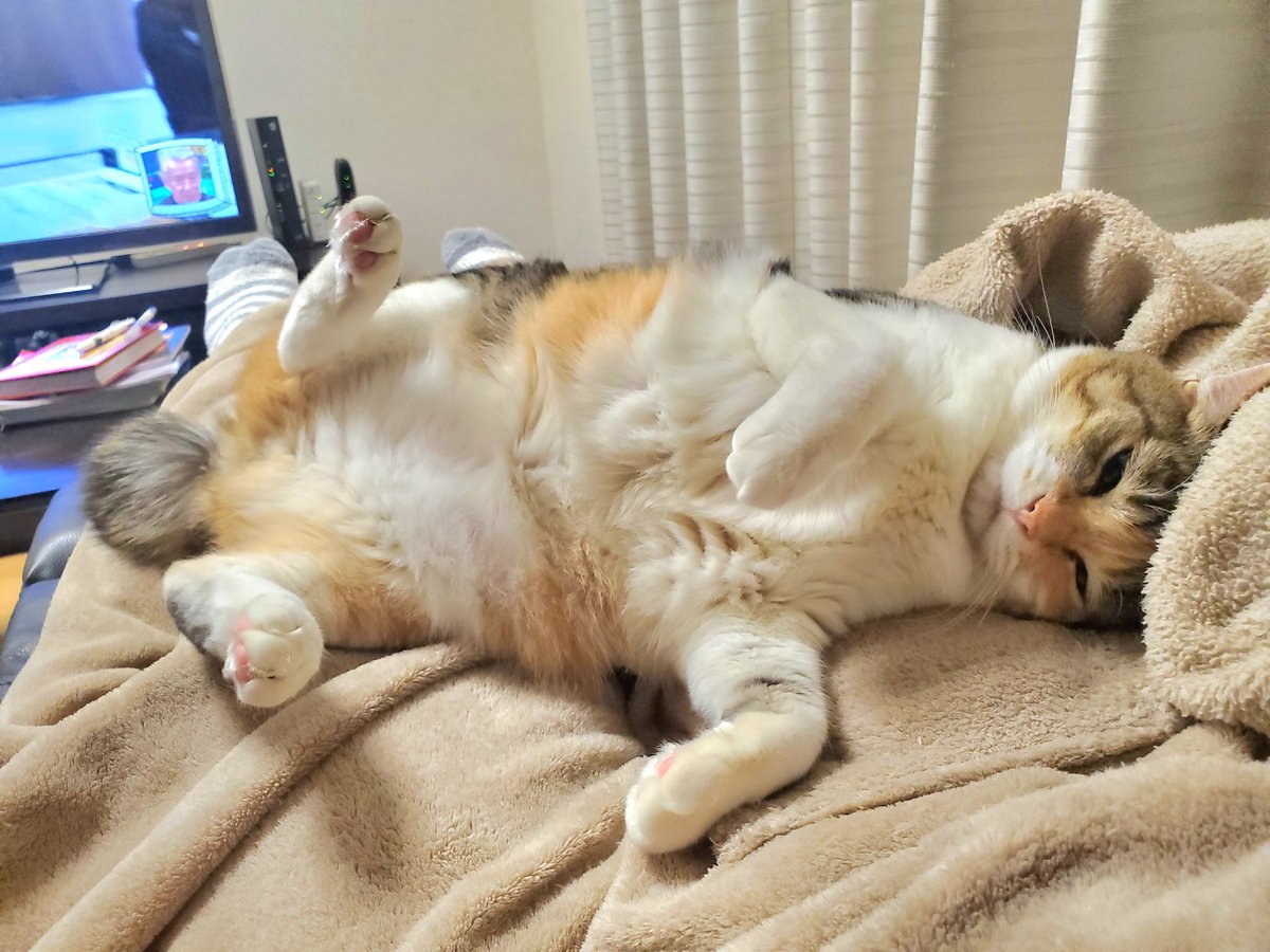 mamu san (@mamusan11) / Posts / X