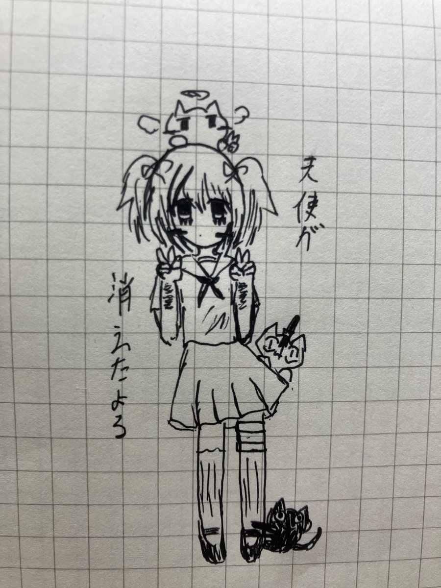 cat_kyu_kyu's tweet image. 