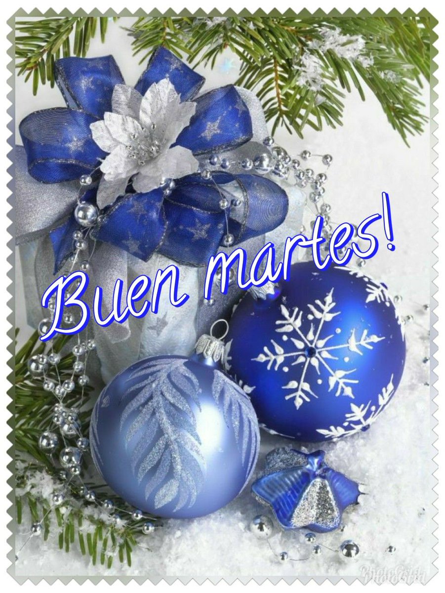 Alondra tweet media