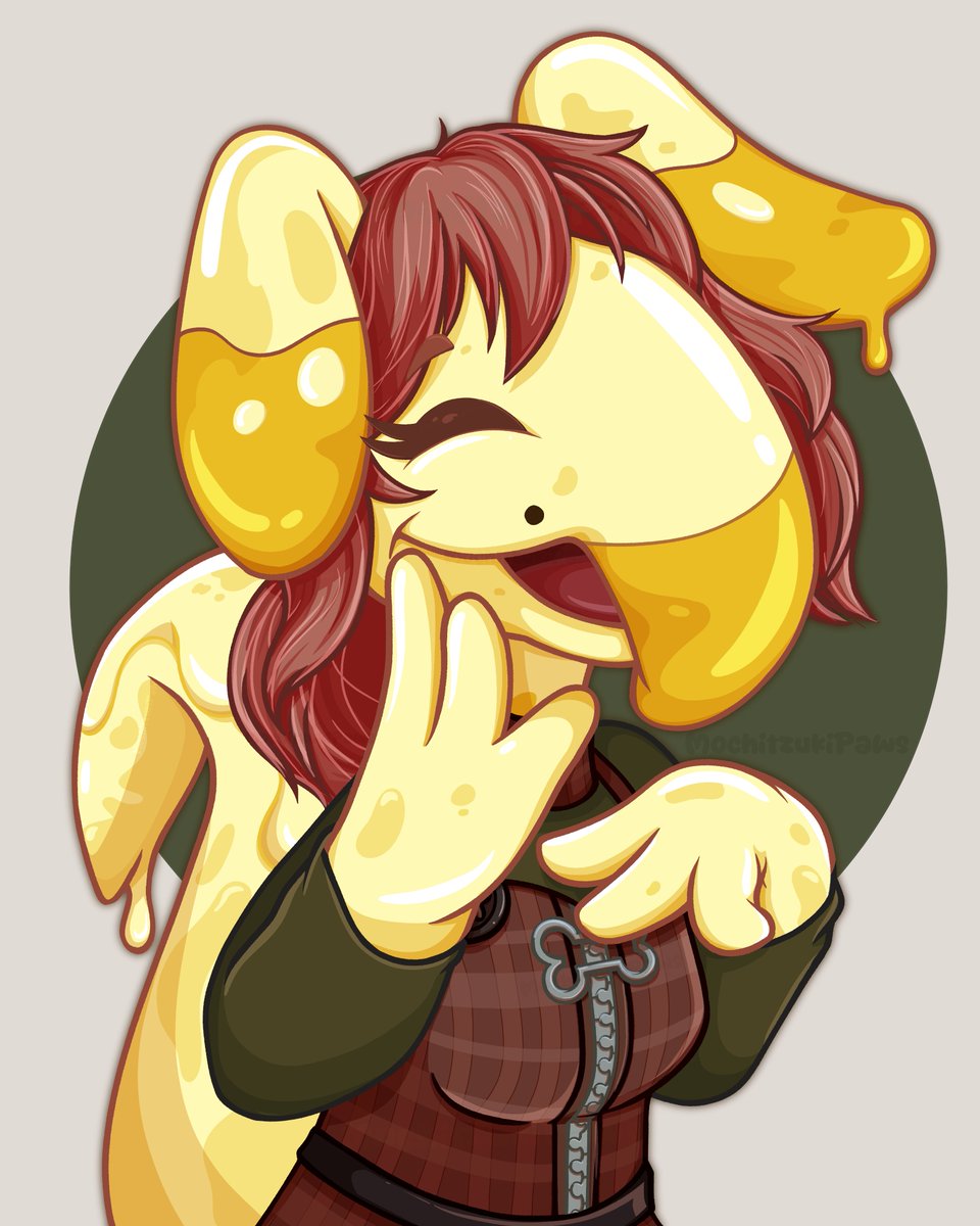 Mochi-Chan 🦉 tweet media