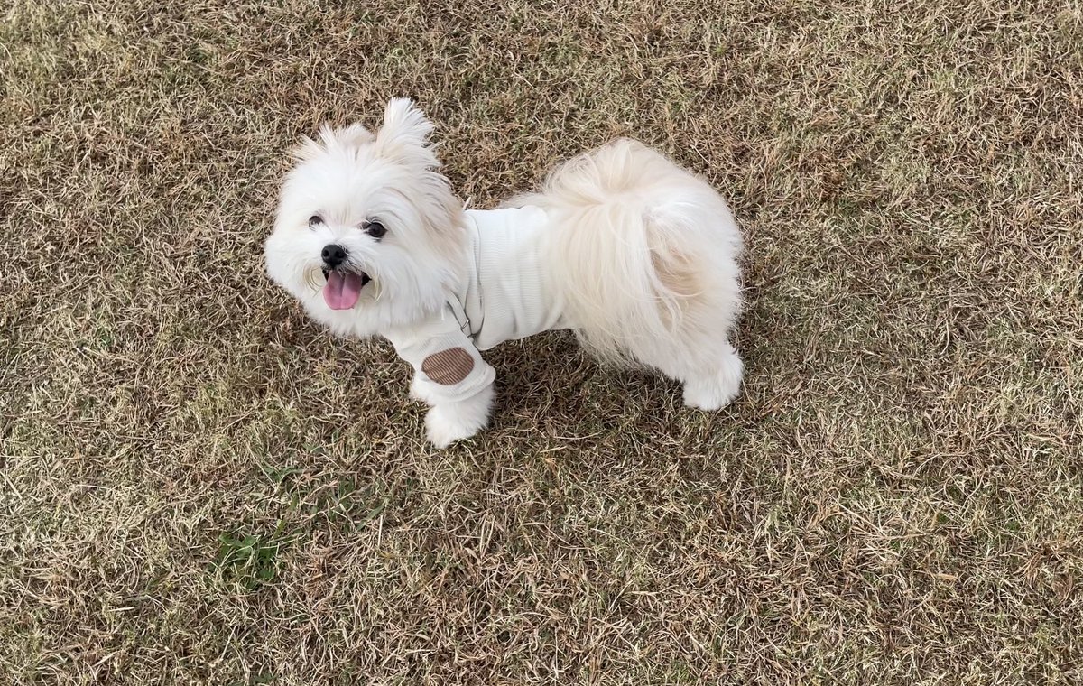 ぽんた (@p_190224) / Posts / X