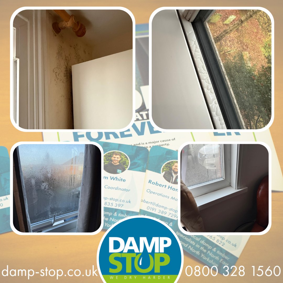 DampStop's tweet image. Say goodbye to window condensation!

Our Positive Pressure Units combat humidity, reduce condensation, and prevent mould for a healthier, drier home. 🌫️ Experience the difference today!

#DampStop #WeDryHarder #Condensation #NorthEast #NorthYorkshire