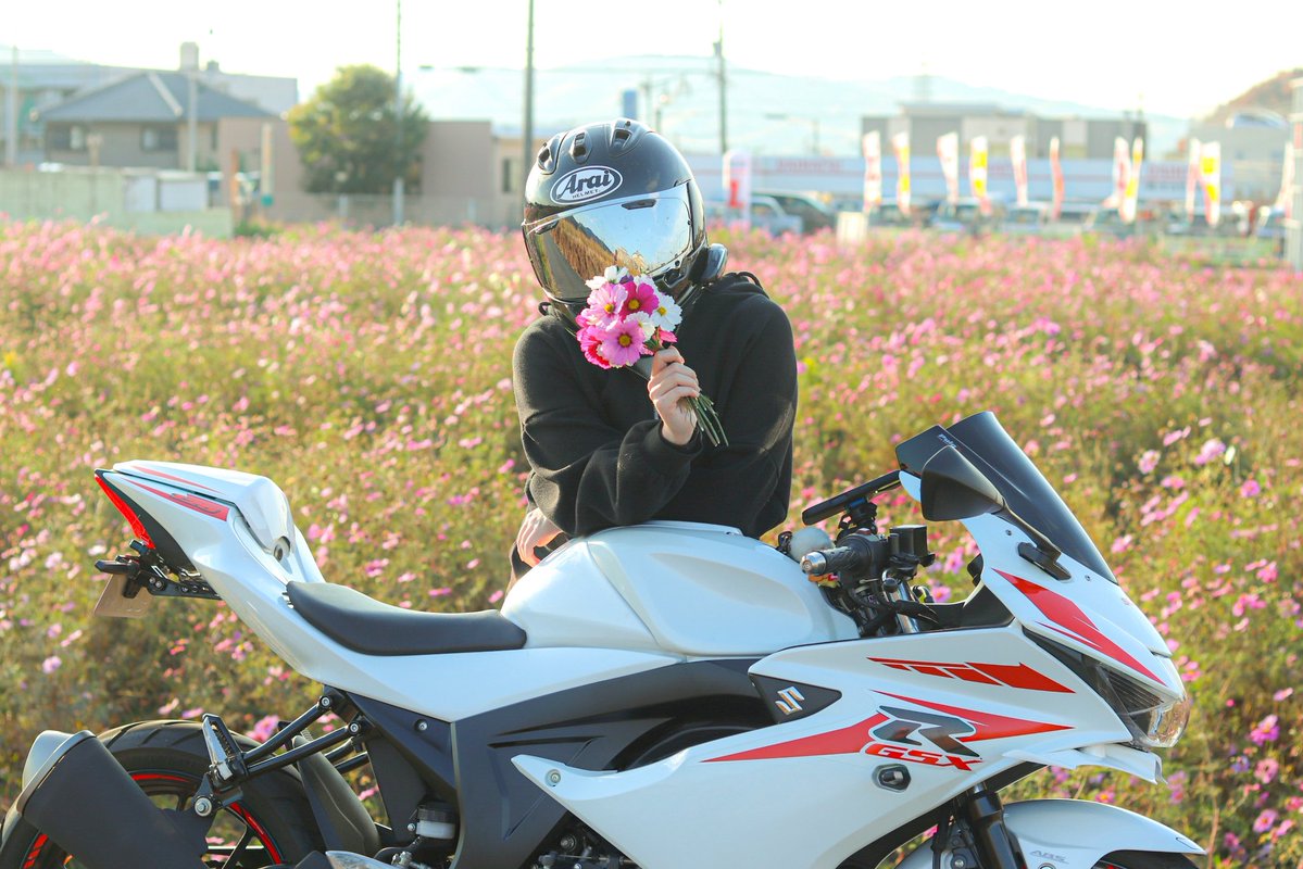 ぽんこ ぽんちゃん (@EQv57P3LtbAZOX5) / Posts / X