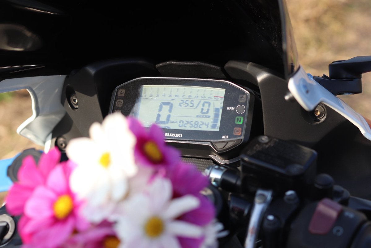 ぽんちゃん (@EQv57P3LtbAZOX5) / Posts / X