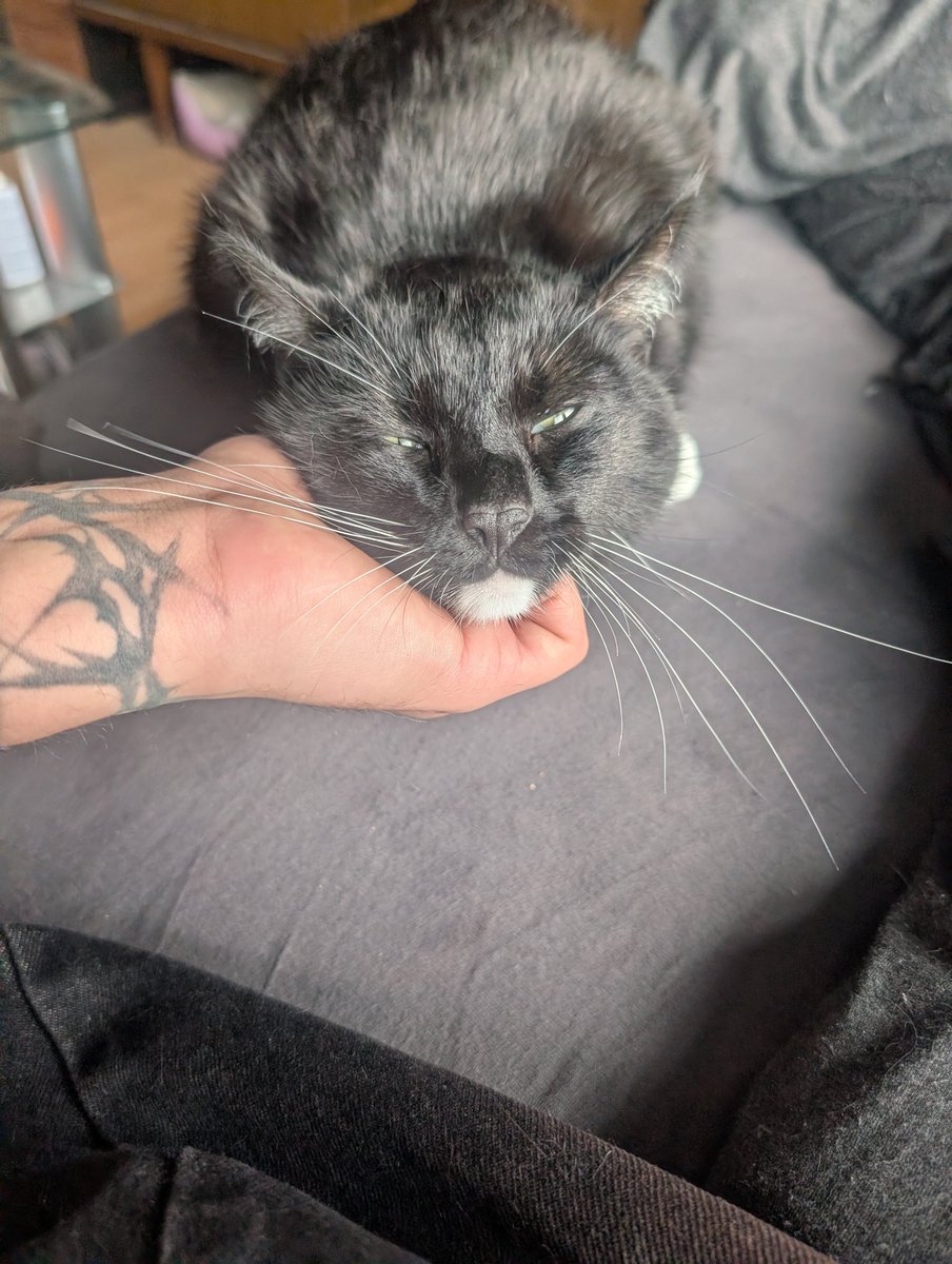 ⛧felipe⛧🚬 (@schlongmaster31) on Twitter photo 