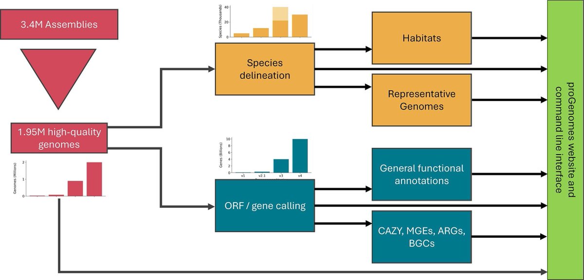 jsantoyo's tweet image. proGenomes4: providing 2 million accurately and consistently annotated high-quality prokaryotic genomes. #ProkaryoticGenomes #AnnotatedGenomes #Bioinformatics #Genomics #NAR
academic.oup.com/nar/advance-ar…