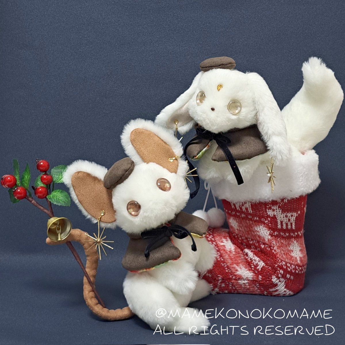 まめこ (@Mamekonokomame) / Posts / X