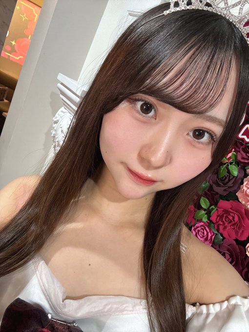 ぷりみゅーむのツイート