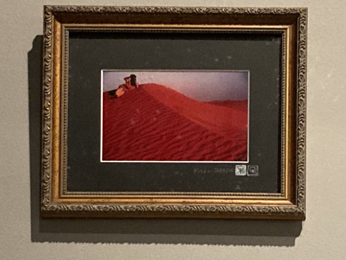 チュニジアの紹介は、知らない事にも触れられる機会になる。色合いが