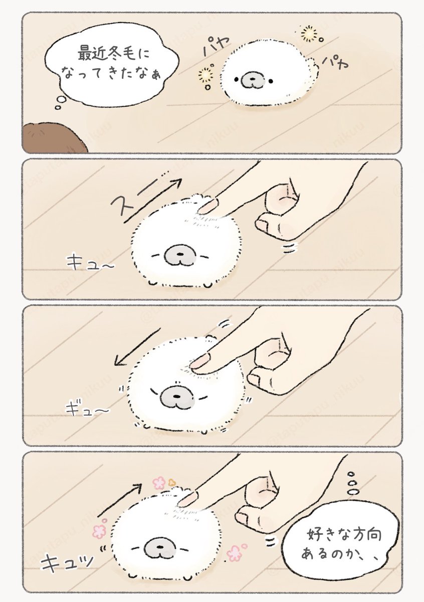 冬毛 