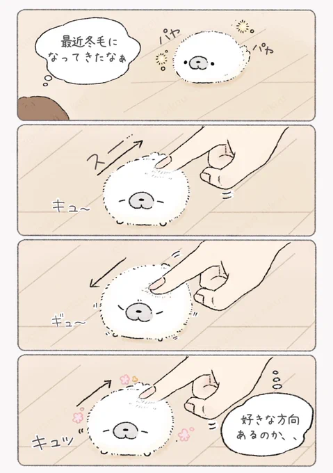 冬毛 