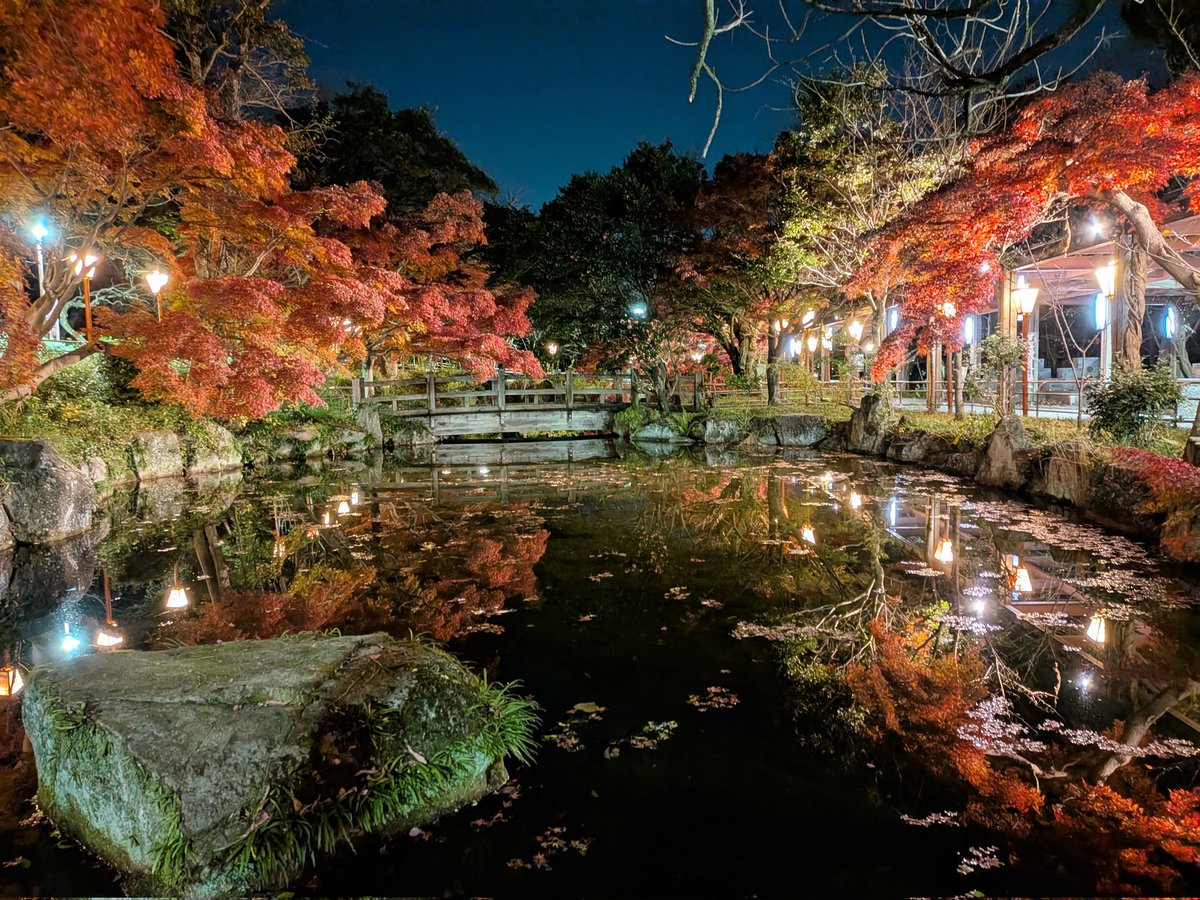 ｱｲﾁCB50/JS2JNP　⌘ tweet media