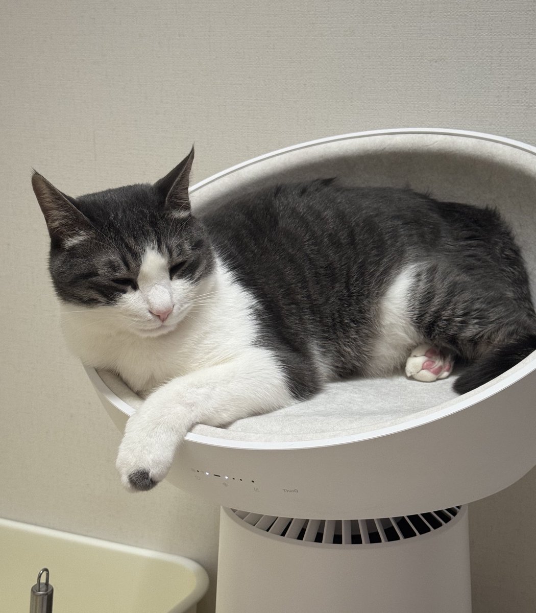 히히 (@hihiwithchobo) on Twitter photo 