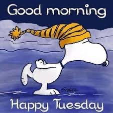 Good morning 
Happy Tuesday