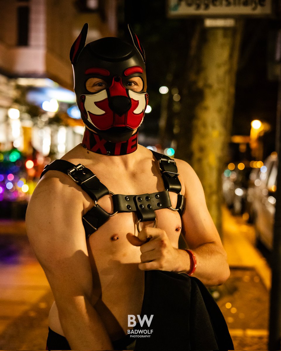 PupDaxter tweet media