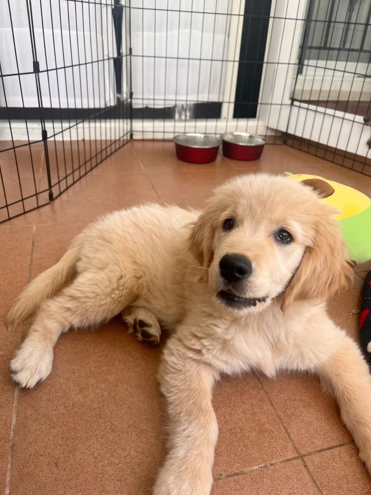 Best Of Photography (@graphiphoto) on Twitter photo 